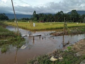 Luwu Timur Diterjang Banjir, Petani Kawatirkan Hasil Panen