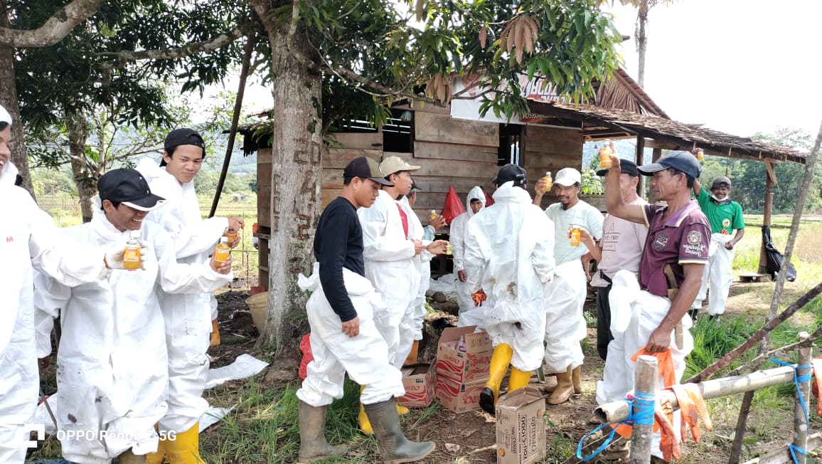 Towuti Bangkit, Bupati Lutim Apresiasi Kolaborasi Masyarakat dan PT Vale Pulihkan Lingkungan