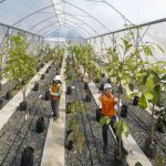 Ubah Tantangan Menjadi Kemajuan, Perjalanan ESG PT Vale Menguat di 2025